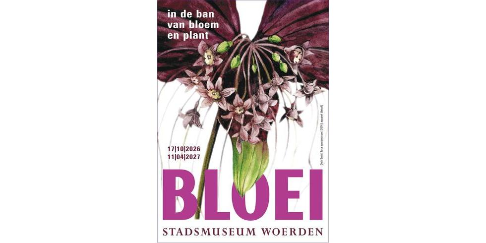 BLOOM - A Fascination with Flowers and Plants